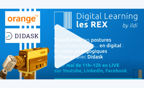 REX Didask & Orange