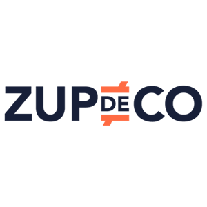 ZDC_logo_carre